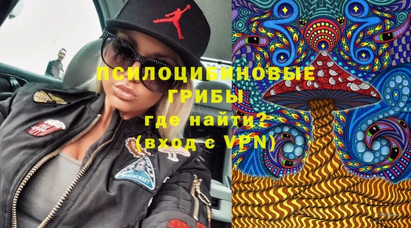 стаф Волосово