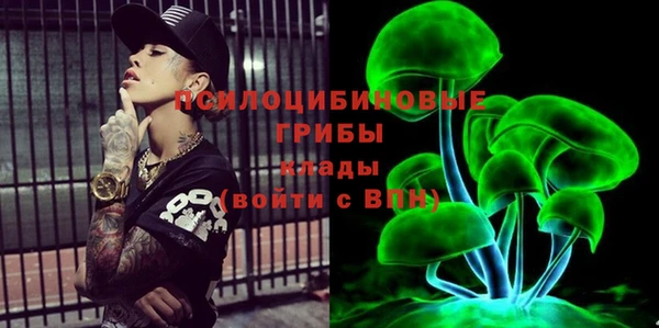 мдпв Вязьма