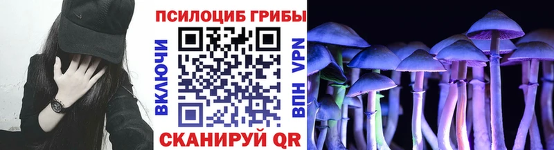 Псилоцибиновые грибы мицелий  Дальнегорск 