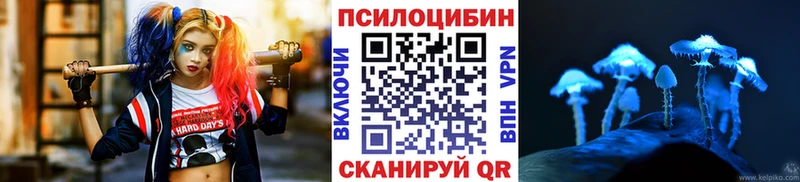 Псилоцибиновые грибы Psilocybine cubensis Дальнегорск